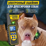 Електронний нашийник для дресирування собаки DTC 800